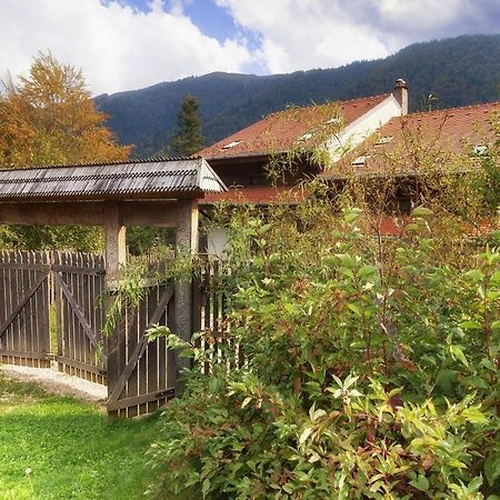Casa Ferica Villa Азуга Екстериор снимка