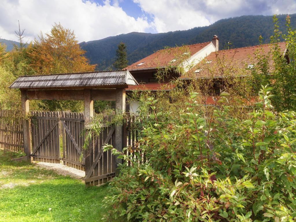 Casa Ferica Villa Азуга Екстериор снимка